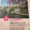 『桜名所100選』に選ばれた 三ツ池公園