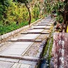 京都ぶらり　ねねの道から維新の道へ