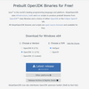 AdoptOpenJDK を 11.0.9.1+1 → 11.0.10+9 へ、IntelliJ IDEA を 2020.3.1 → 2020.3.2 へ、Git for Windows を 2.30.0 → 2.30.0.2 へバージョンアップ