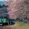 切っても沁みない、ナゲーのプチフーケー　１９９６年の桜編。
