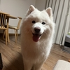 落ち着く〜