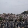 2024年エイプリル雑談