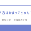 育児日記　生後10.5か月　夕方はかまってちゃん？