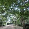 テストが終わったら奨学金の申し込み