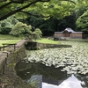 小石川後楽園／水戸徳川家の江戸上屋内の庭園