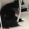 G、再び。
