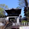 布施弁天で見事な桜を愛でる！(*^-^*)