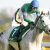牝馬の東京新聞杯