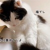 写真でテンションを上げよう↗️