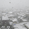 春分の雪　その４
