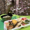 お花見弁当