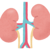 腎臓の数から世界を考える