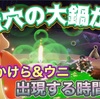 カチカチ蟹穴エリアの大鍋からの⁉︎光のかけら&ウニはいつ出るの？その事を調査した件【Sky調査】