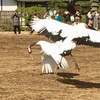 岡山の思い出
