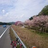 久しぶりのロードバイクで自己新記録