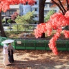 盛岡城址公園で紅葉狩り