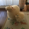 癒しの週末