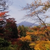 藤田記念庭園で紅葉狩