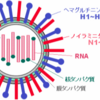 インフルエンザ流行ってるなあ