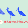 離乳食の赤身魚はいつから？　〜「赤ちゃんのための補完食入門」より～