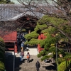 ”ちいかわ”を訪ねる旅・護国寺編⑤『護国寺』