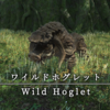 【FF14】 モンスター図鑑 No.032「ワイルドホグレット(Wild Hoglet)」