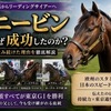 トニービンはなぜ種牡馬として成功したのか？代表産駒・東京適性・母父実績を徹底解説