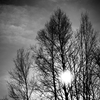 monochrome photography #123