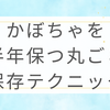 かぼちゃを半年保つ丸ごと保存テクニック完全ガイド
