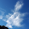 怪獣の雲❕　『ゴジラ』に見える❔