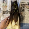 たけのこコンパクト皮むきとアク抜きは生米で