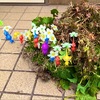 ほっておくとすぐ大変なことになる庭　～庭の草むしる～