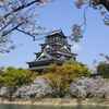 【広島オススメお花見スポット】広島城　～今が満開桜めぐり③～