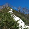 道北・敏音知岳(704m)