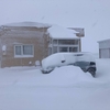 0317 / 雪、お腹いっぱいです