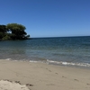 海！/8月31日【ハワイ留学】