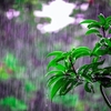 雨の中子供連れで出かけるのは大変だ。