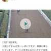 ヴィブラント　2019/12/18