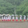 椿大神社  御田植祭