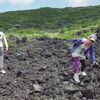７月３０日のツアー