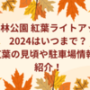森林公園紅葉ライトアップ2024はいつまで？紅葉の見頃や駐車場情報も紹介！