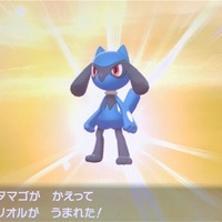 ポケモン剣盾プレイ日記その34 ジジーロン色違いゲット 出し方は 何体目で出た ミラクルゲットでこれからの色違い作業が楽になりました あきののんびりゲームブログ