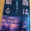 宮部みゆき「龍は眠る」のあらすじと感想