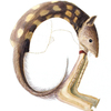 水彩画「Quoll / Quijada player」