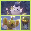2024年5月にゲットした色違いポケモンたちまとめ