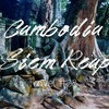*カンボジア旅行#08　タプローム【Ta Prohm】神秘的な木の根と一体化した遺跡はまるで「ラピュタ」の世界観*