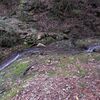 犬ケ岳（シュスラン）