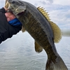 晴れ間の見える６月の多摩川で一匹釣った話😄✌️✨🎣🐟🌿