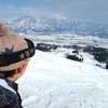今年も元を取りました