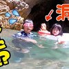 2月18日の動画